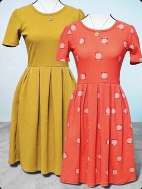 LuLaRoe | TWO for ONE | AMELIA KNIT BACK ZIP FLAIR DRESS